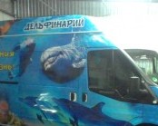 Брендирование автомобилей